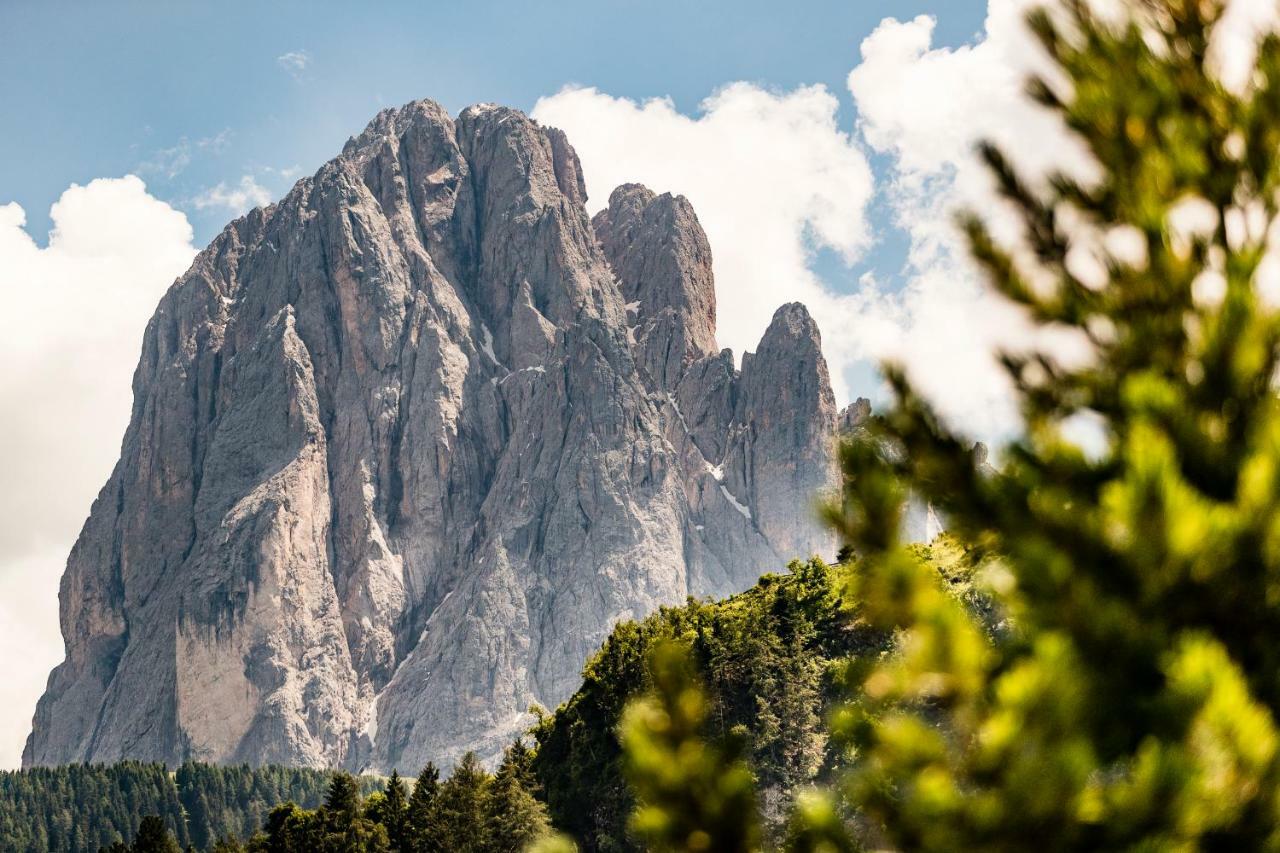 Appartamenti Hetty Santa Cristina Val Gardena Екстериор снимка